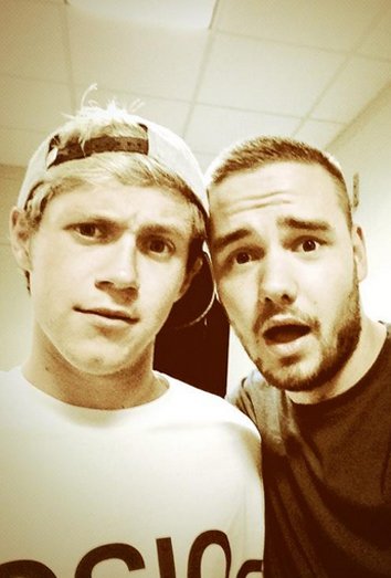 Niall Horan has his great love in One Direction: Liam Payne is Mrs. Horan